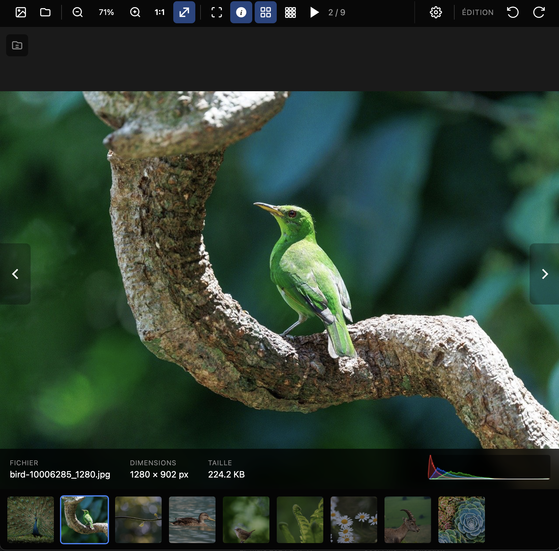 Pitop Viewer en action
